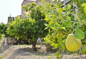 4 Bedroom spacious villa, Argaka, Paphos