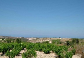 Land in Kathikas
