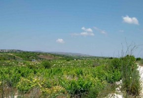 Land in Kathikas