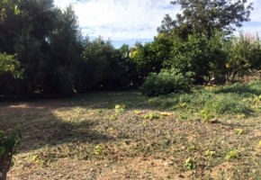 Land in Anavargos, Paphos 