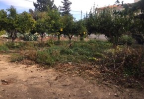 Land in Anavargos, Paphos 