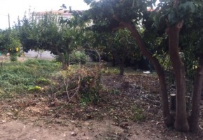 Land in Anavargos, Paphos 