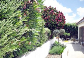 4 Bedroom Villa + 1 Bedroom Apartment  in Tala, Paphos