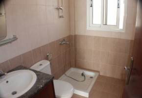 4 Bedroom Villa + Apartment downstairs , Kamares, Tala, Paphos