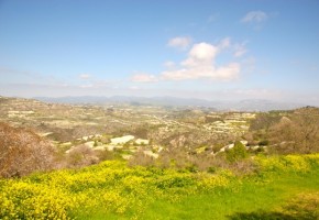 Residential Land  For Sale in Koili, Paphos - SL17473