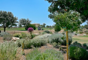 Detached Villa For Sale  in  Aphrodite Hills