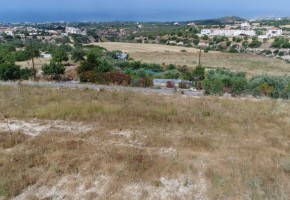 Residential Land  For Sale  in  Tala